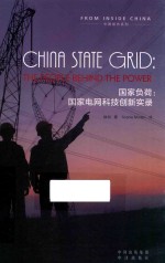 国家负荷  国家电网科技创新实录  the people behind the power