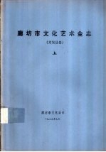 廊坊市文化艺术全志  文安县卷  下