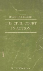 THE CIVIL COURT IN ACTION