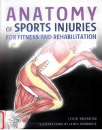 anatomy of sports injuries for fitness and rehabilitation