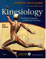 KINESIOLOGY THE SKELETAL SYSTME AND MUSCLE FUNCTION 2ND EDITION