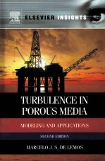 TURBULENCE IN POROUS MEDIA MODELING AND APPLICATIONS  SECOND EDITION