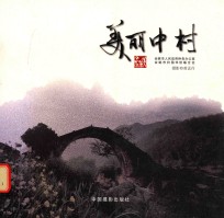 美丽中村