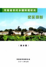 河南省农村乡镇环境状况  纪实摄影  新乡篇