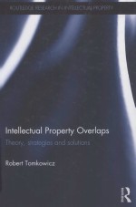 INTELLECTUAL PROPERTY OVERLAPS  THEORY