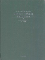 中国设计教育实践  现代平面设计图典  1