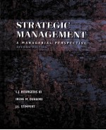 STRATEGIC MANAGEMENT  A MANAGERIAL PERSPECTIVE  SECOND EDITION