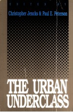 THE URBAN UNDERCLASS