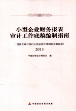 小型企业财务报表审计工作底稿编制指南  适用于审计执行企业会计准则的小企企业