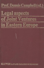 Legal aspects of joint ventures in Eastern Europe