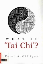 what is 'tai chi'