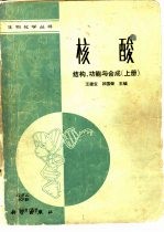 核酸结构、功能与合成  下