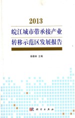 2013  皖江城市带承接产业转移示范区发展报告