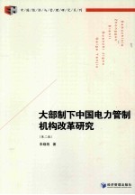 大部制下中国电力管制机构改革研究