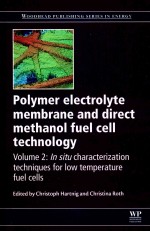 WOODHEAD PUBLISHING SERIES IN ENERGY:NUMBER 31  POLYMER ELECTROLYTE MEMBRANE AND DIRECT METHANOL FUE