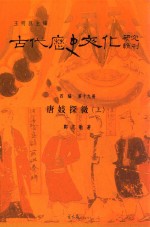 古代历史文化研究辑刊  四编  第19册  唐妓探微  上