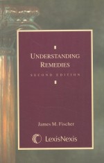 UNDERSTANDING REMEDIES  SECOND EDITION