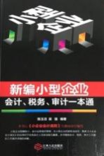 新编小型企业会计、税务、审计一本通