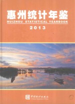 惠州统计年鉴  2013