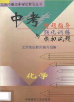 中考解题指导与强化训练模拟试题  初中化学