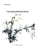 斗室苍茫吾独立  中国问题学·弱势群体经济学选集