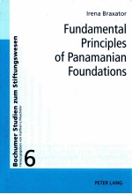 fundamental principles of panamanian foundations