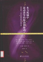 水力机械中流动诱导的脉动和振动  项目规划、设计和故障诊断工程师手册