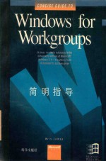 Windows for Workgroups简明指导