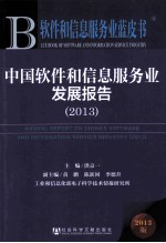 中国软件和信息服务业发展报告  2013