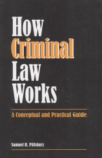 HOW CRIMINAL LAW WORKS  A CONCEPTUAL AND PRACTICAL GUIDE