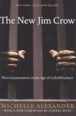 THE NEW JIM CROW  MASS INCARCERATION IN THE AGE OF COLORBLINDNESS