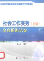 社会工作实务  初级  全真模拟试卷