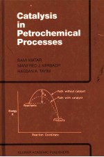 Catalysis in Petrochemical Processes