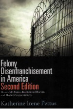 FELONY DISENFRANCHISEMENT IN AMERICA