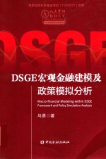 DSGE宏观金融建模及政策模拟分析