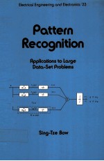 PATTERN RECOGNITION：APPLICATIONS TO LARGE DATA-SET PROBLEMS