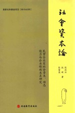 民营企业家社会资本、动态能力与企业绩效关系研究