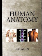 HUMAN ANATOMY