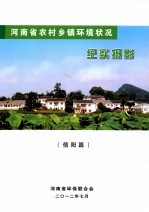 河南省农村乡镇环境状况  纪实摄影  信阳篇