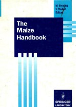 The Maize handbook