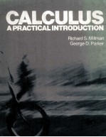 CALCULUS A PRACTICAL INTRODUCTION