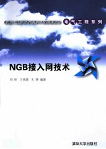 NGB接入网技术