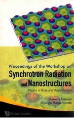 proceedings of the workshop on synchrotron radiation and nanostructures papers in honour of paolo pe