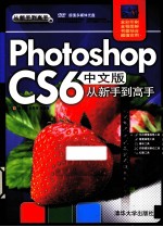 Photoshop CS6中文版从新手到高手