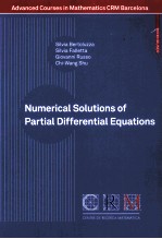 Numerical Solutions of Partial Differential Equations