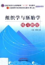 组织学与胚胎学练习教程