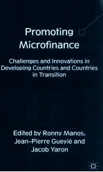 promoting microfinance  challenges and innovations in developing countries and countries in transiti