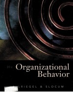 ORGANIZATIONAL BEHAVIOR  TENTH EDITION