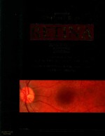 RETINA VOLUME THREE  FIFTH EDITION