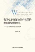 我国电子商务知识产权保护的挑战与对策研究  以专利侵权责任为视角